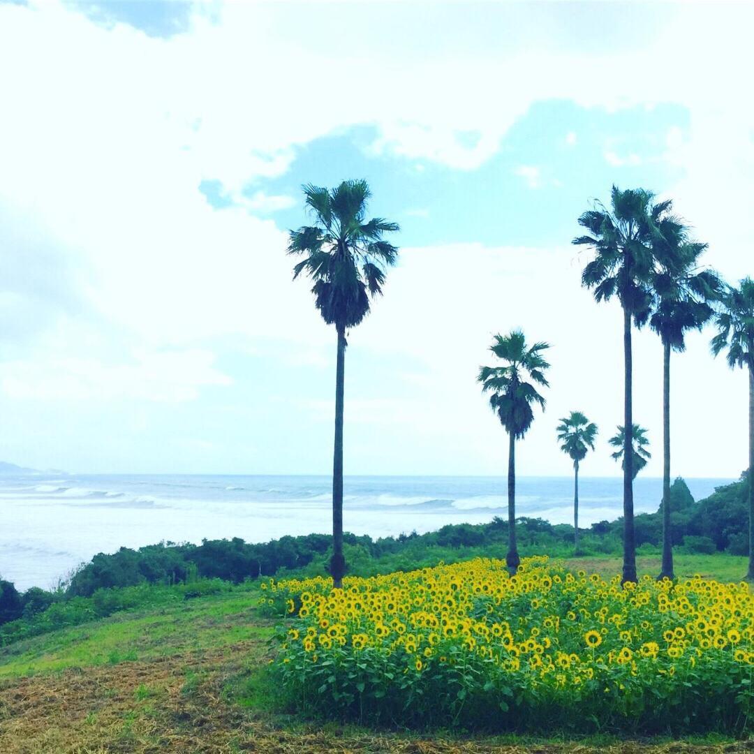 Guesthouse ＆ Beach Cafe Fuego Hyuga Экстерьер фото